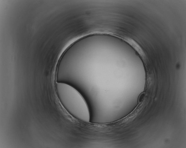 X0000097771052200803070856