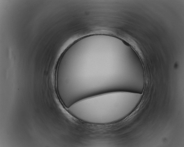 X0000097771054200803070856