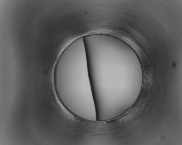 X0000097771055200803070856