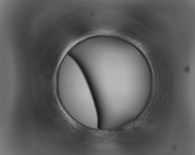 X0000097771056200803070856