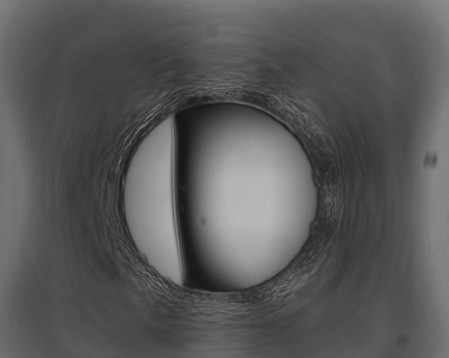 X0000097771057200803070855