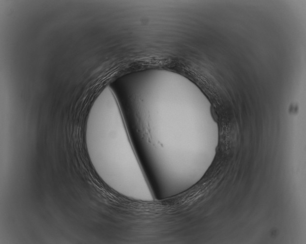 X0000097771058200803070855