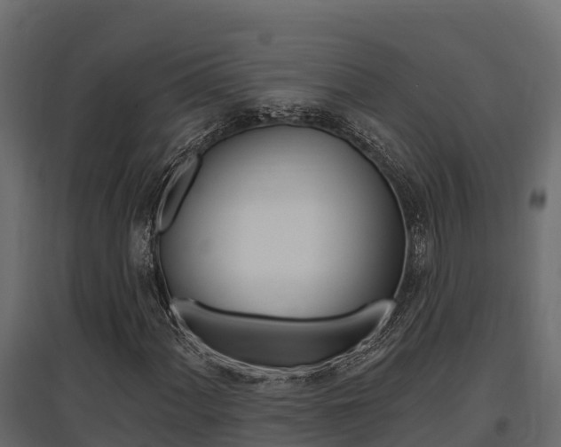 X0000097771060200803070855
