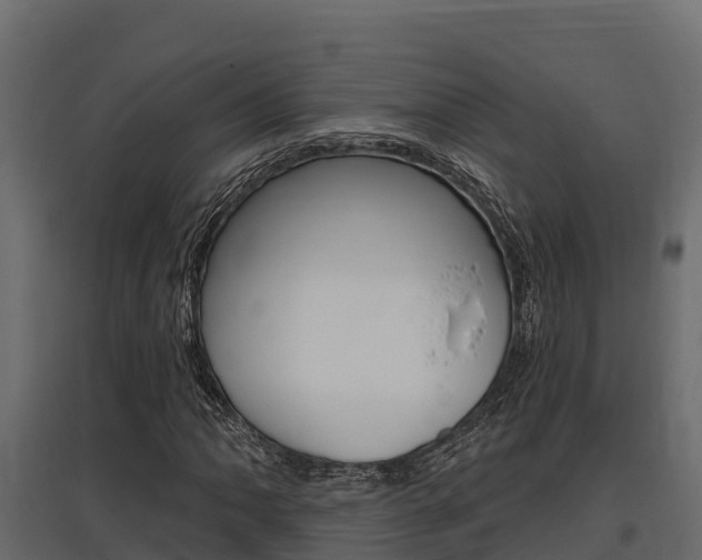 X0000097771062200803070855