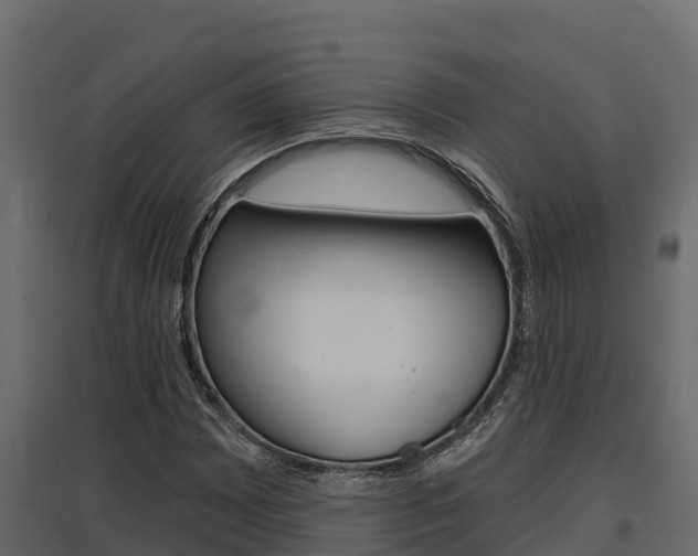 X0000097771065200803070855