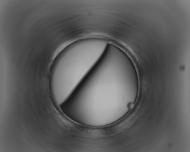 X0000097771066200803070855