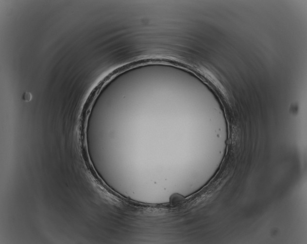 X0000097771068200803070855