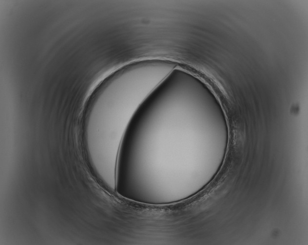 X0000097771069200803070855
