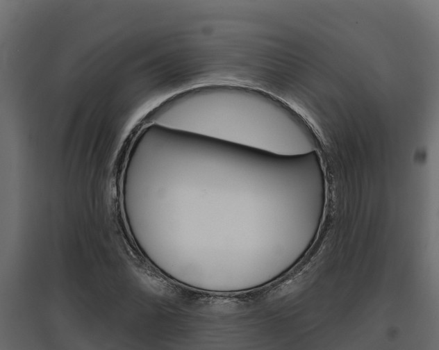 X0000097771070200803070855