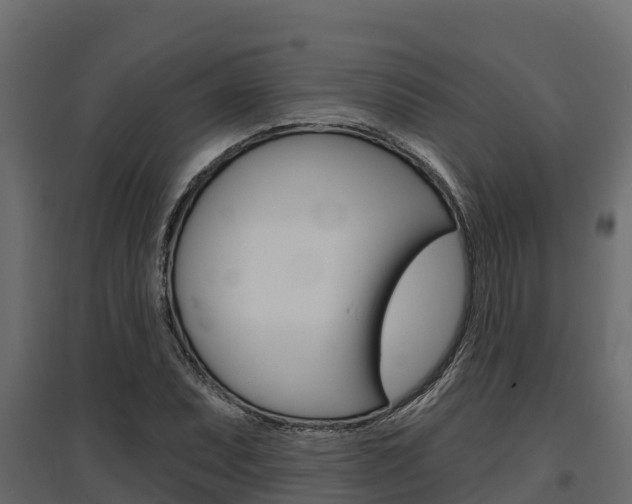 X0000097771071200803070855
