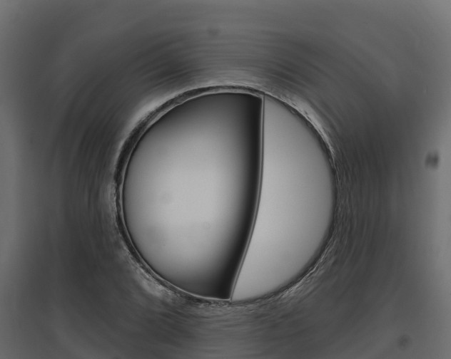 X0000097771072200803070855