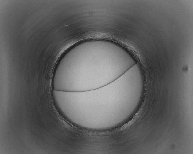 X0000097771073200803070855