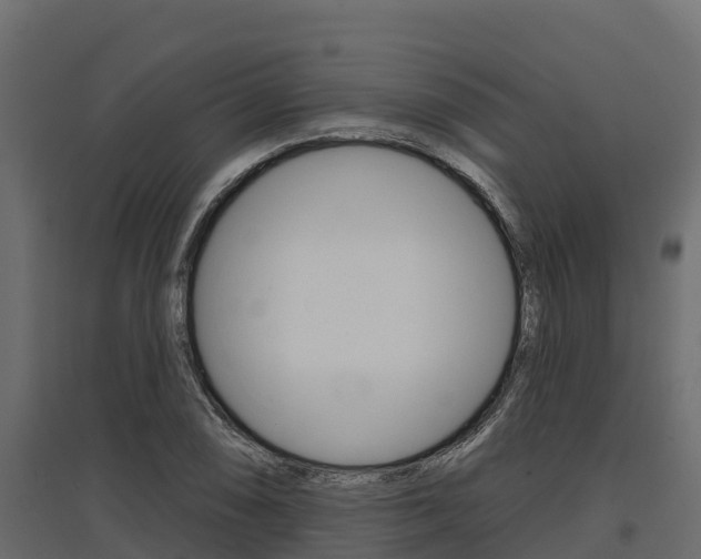 X0000097771074200803070855