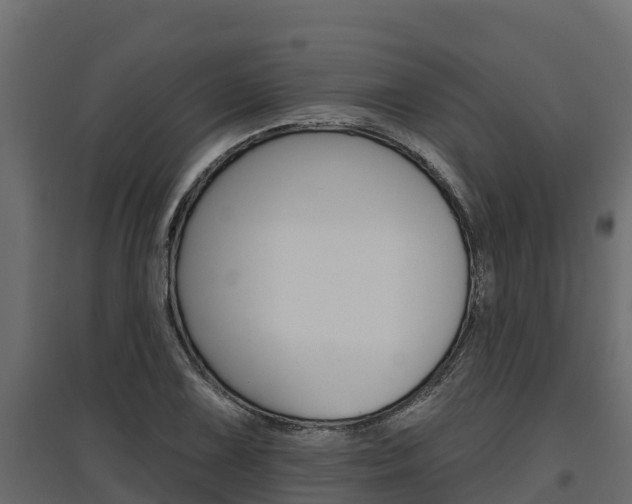 X0000097771075200803070855