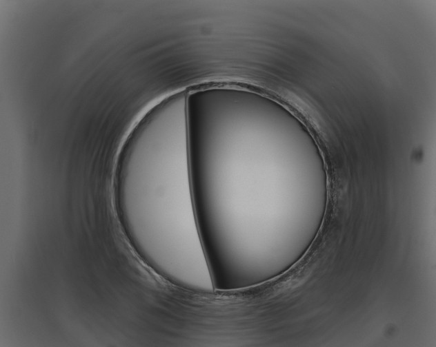 X0000097771076200803070855