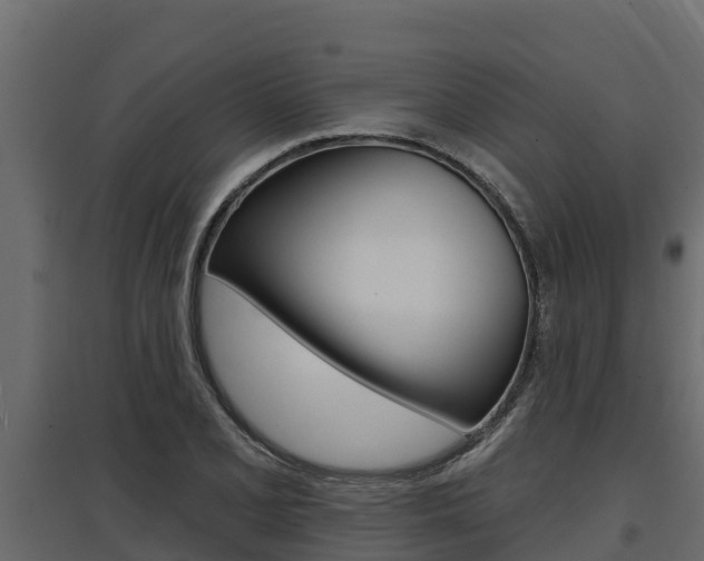 X0000097771077200803070855
