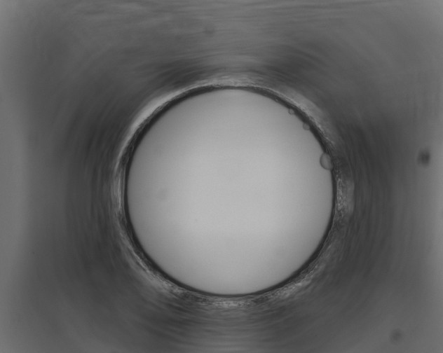 X0000097771078200803070855