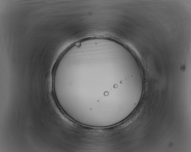 X0000097771079200803070855