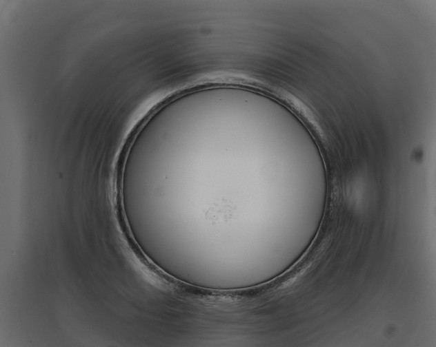 X0000097771082200803070855