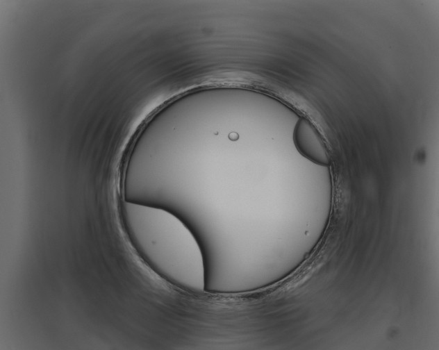 X0000097771083200803070855