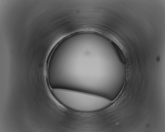 X0000097771084200803070855