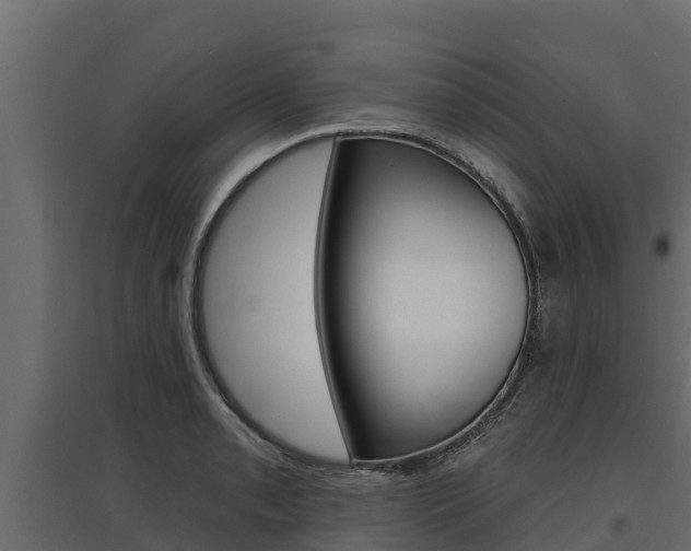 X0000097771085200803070855