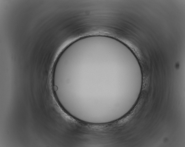 X0000097771086200803070855