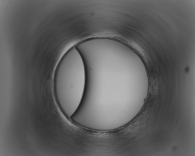 X0000097771087200803070855