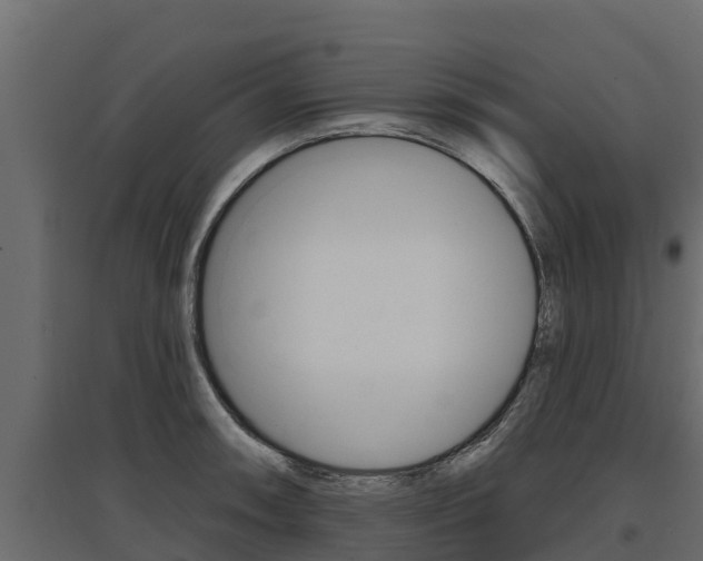 X0000097771090200803070855