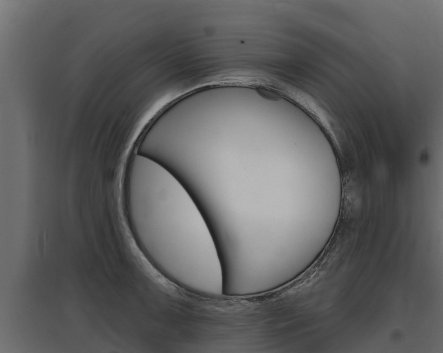 X0000097771091200803070855