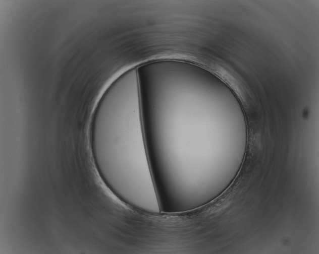 X0000097771092200803070855