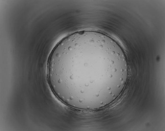 X0000097771095200803070855