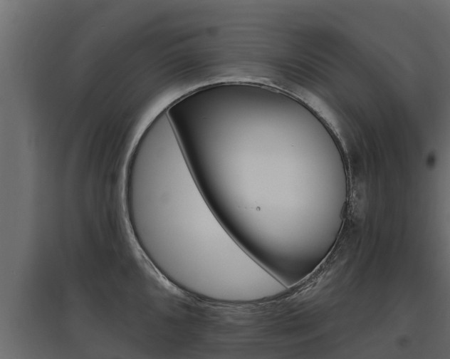 X0000097771096200803070855