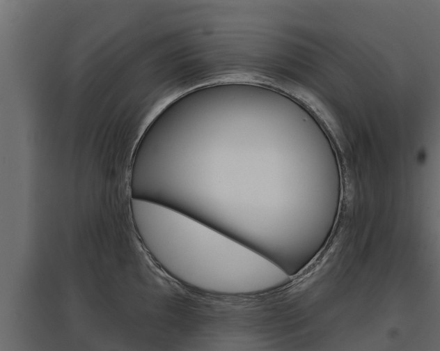 X0000097771097200803070855