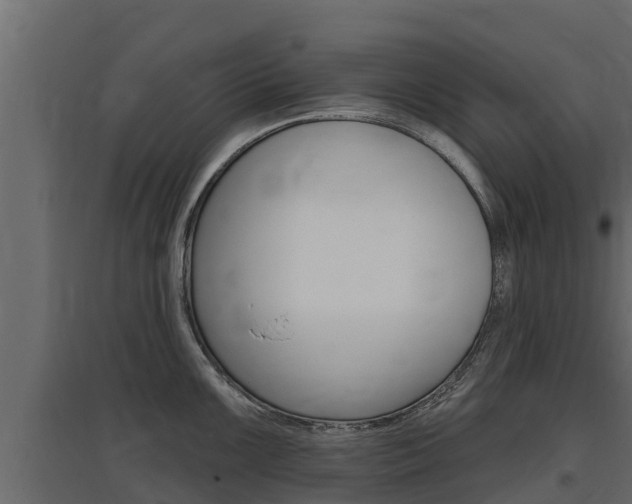 X0000097771099200803070855