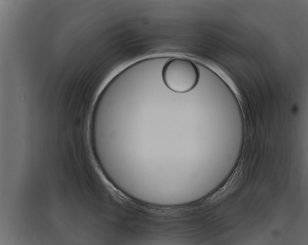 X0000097771101200803070855