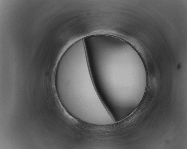 X0000097771102200803070855