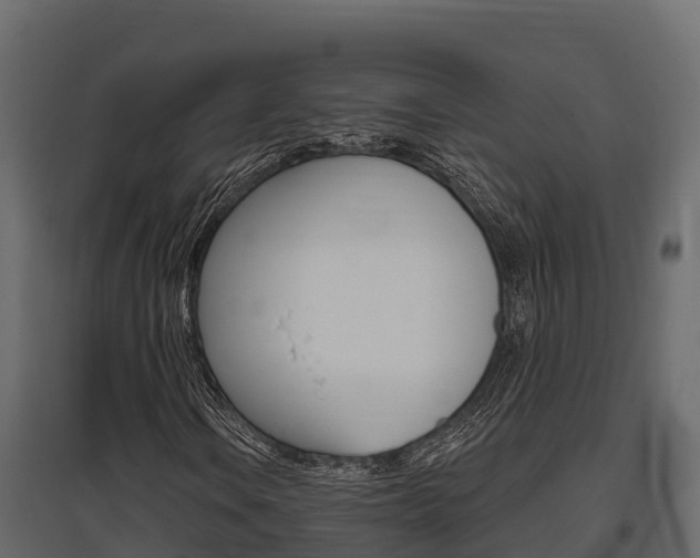 X0000097771106200803070854