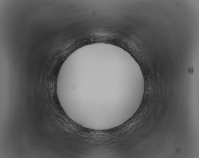 X0000097771109200803070854