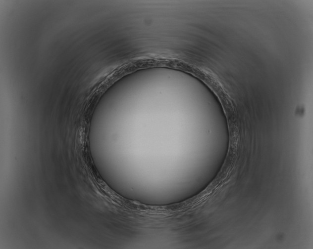 X0000097771110200803070854