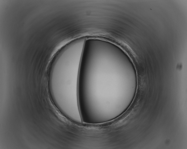 X0000097771114200803070854