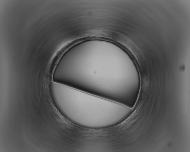 X0000097771115200803070854