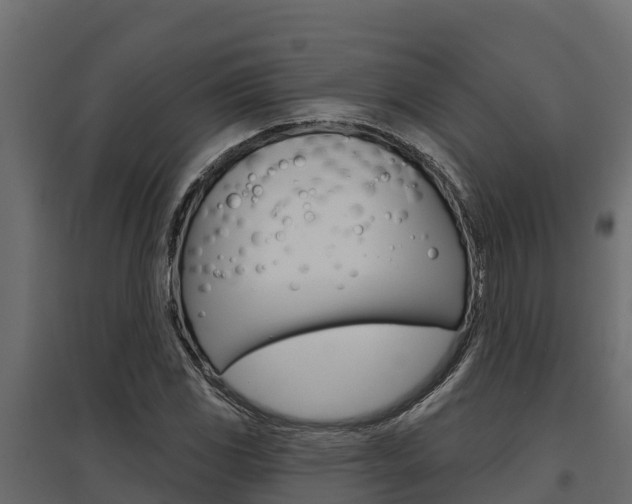 X0000097771117200803070854