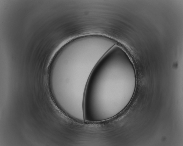 X0000097771118200803070854