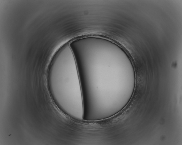 X0000097771119200803070854