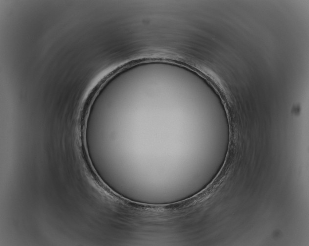 X0000097771120200803070854