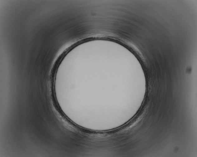 X0000097771122200803070854