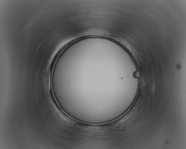 X0000097771123200803070854