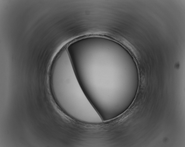 X0000097771124200803070854