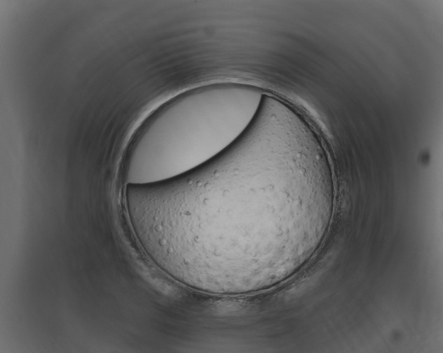 X0000097771125200803070854
